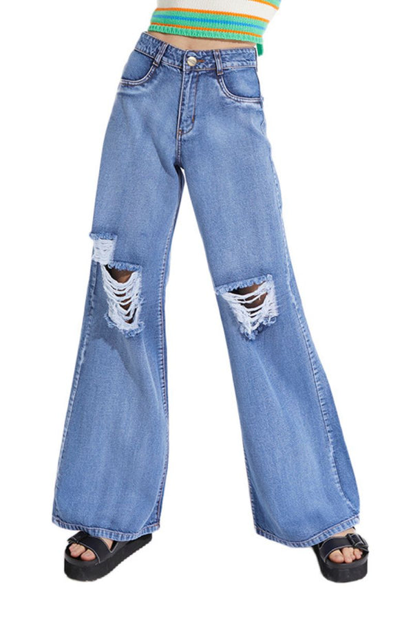 WDE LEG